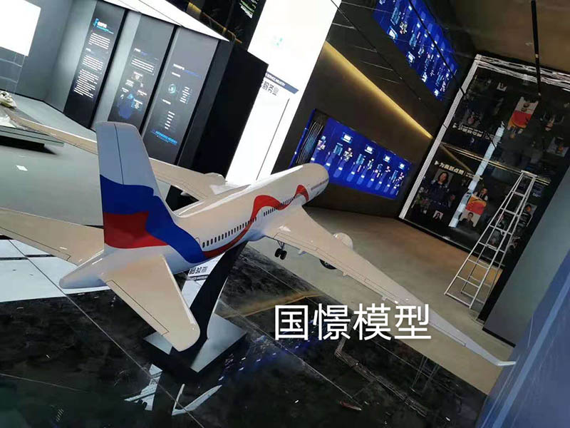 巴东县飞机模型